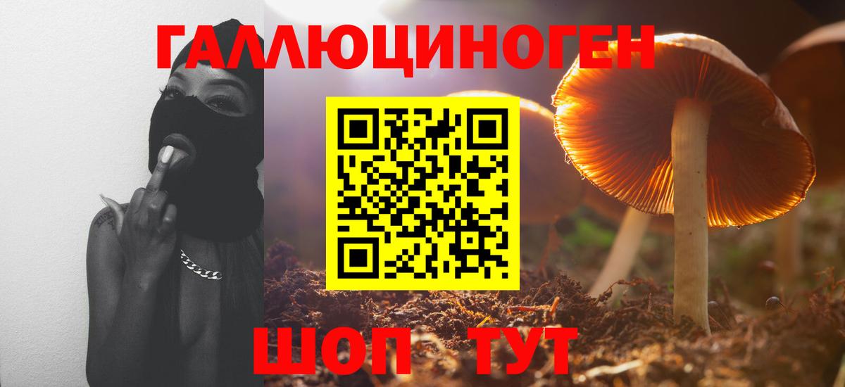 Зерноград  Галлюциногенные грибы прущие грибы  где найти   Вход с VPN  Псилоцибиновые грибы ЛСД 
