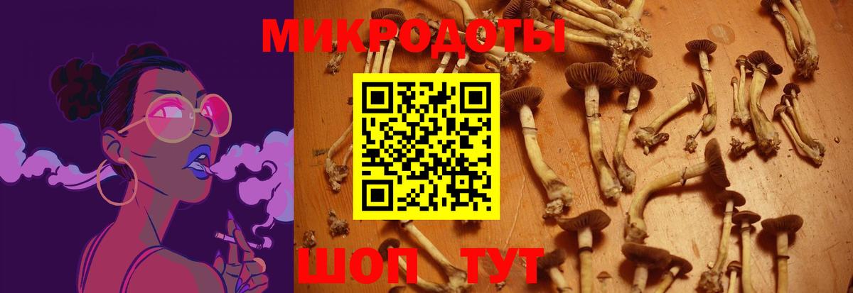 Галлюциногенные грибы MAGIC MUSHROOMS Зерноград